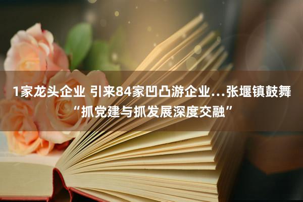 1家龙头企业 引来84家凹凸游企业…张堰镇鼓舞“抓党建与抓发展深度交融”