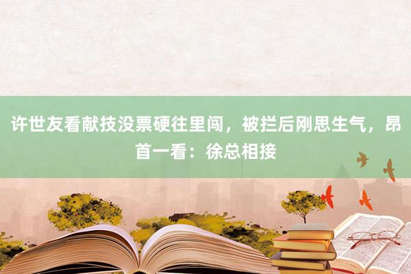 许世友看献技没票硬往里闯，被拦后刚思生气，昂首一看：徐总相接