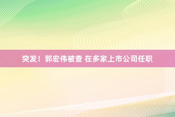 突发！郭宏伟被查 在多家上市公司任职