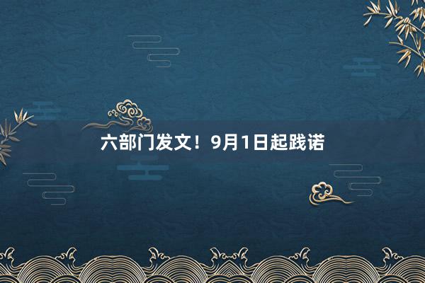 六部门发文！9月1日起践诺