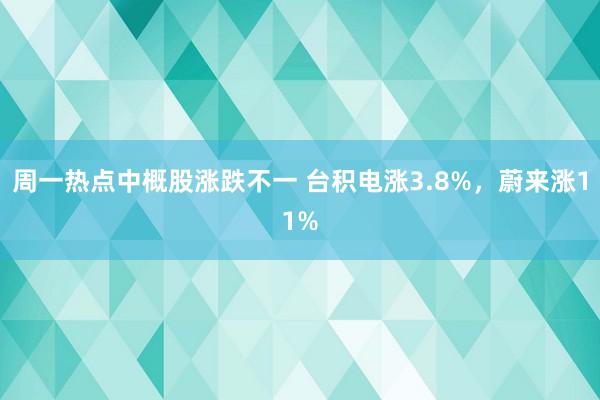 周一热点中概股涨跌不一 台积电涨3.8%，蔚来涨11%