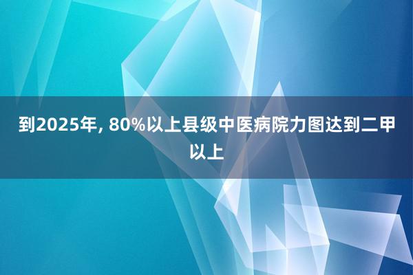 到2025年, 80%以上县级中医病院力图达到二甲以上