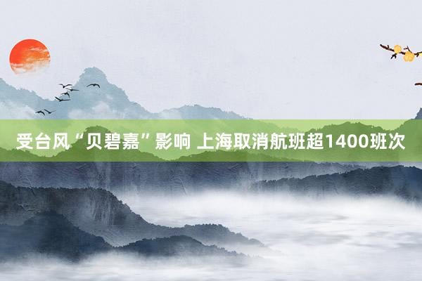 受台风“贝碧嘉”影响 上海取消航班超1400班次