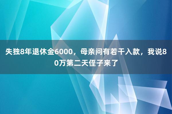 失独8年退休金6000，母亲问有若干入款，我说80万第二天侄子来了