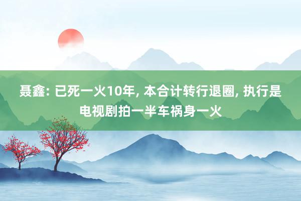 聂鑫: 已死一火10年, 本合计转行退圈, 执行是电视剧拍一半车祸身一火